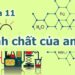 Tính chất hóa học của Ancol: Những phản ứng đặc trưng bạn cần biết