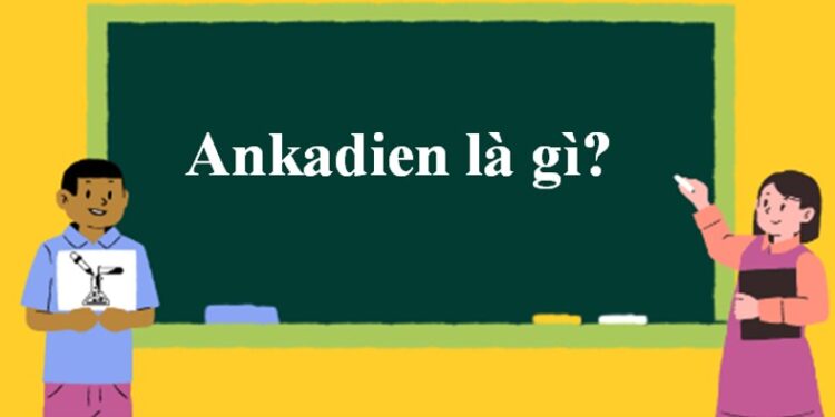 Tính chất hóa học của Ankadien: Khái niệm và các phản ứng đặc trưng