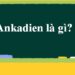 Tính chất hóa học của Ankadien: Khái niệm và các phản ứng đặc trưng