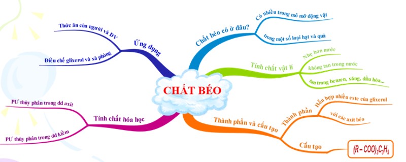 Định nghĩa và thành phần của chất béo