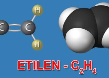 Giải Mã Bí Ẩn Hóa Sinh Và Di Truyền Học Đằng Sau Mùi Thơm Hoa Hồng 15 Hiểu biết căn bản về tính chất hóa học của Etilen