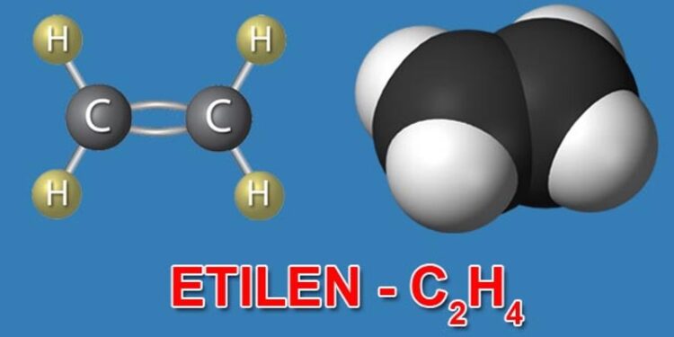 Giải Mã Bí Ẩn Hóa Sinh Và Di Truyền Học Đằng Sau Mùi Thơm Hoa Hồng 1 Hiểu biết căn bản về tính chất hóa học của Etilen