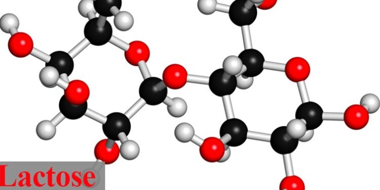 Tính chất hóa học của Lactose: Tìm hiểu chi tiết về đường sữa