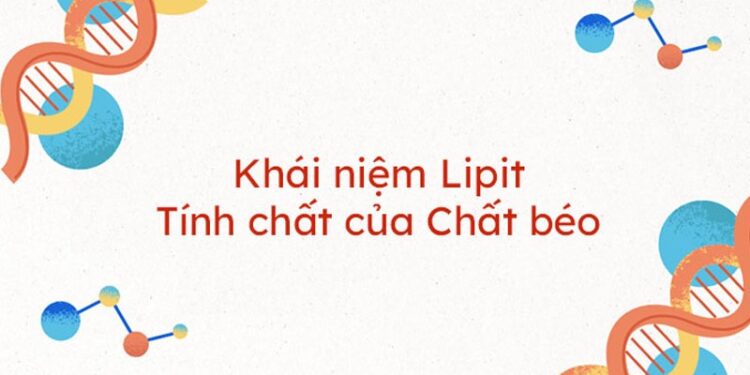 Khám phá tính chất hóa học của Lipit: Hiểu rõ hơn về phản ứng và ứng dụng 1 Khám phá tính chất hóa học của Lipit: Hiểu rõ hơn về phản ứng và ứng dụng