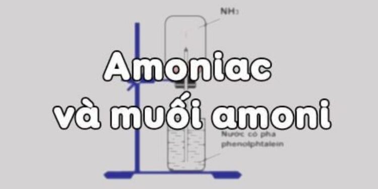 Tính chất hóa học của muối Amoni - Tính Chất Và Ứng Dụng Trong Đời Sống 1 Tính chất hóa học của muối Amoni – Tính Chất Và Ứng Dụng Trong Đời Sống