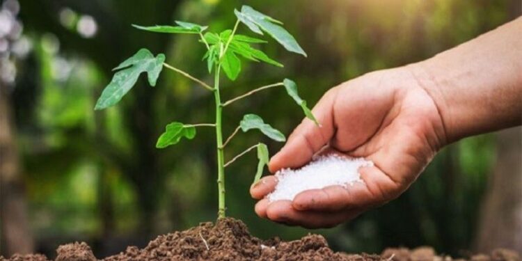 Tính Chất Hóa Học Của P2O5: Khám Phá Những Đặc Điểm Nổi Bật 1 Tính Chất Hóa Học Của P2O5: Khám Phá Những Đặc Điểm Nổi Bật