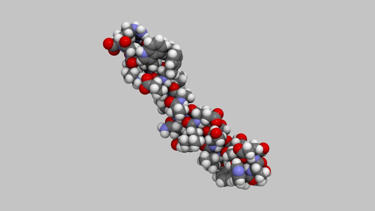 Tính chất hóa học của peptit