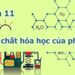 Khám Phá Chi Tiết Tính Chất Hóa Học Của Phenol 4 Khám Phá Chi Tiết Tính Chất Hóa Học Của Phenol