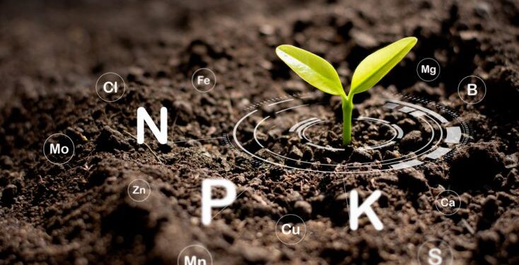 Tính chất hóa học của photpho – Phi Kim Quan Trọng trong Tự Nhiên và Công Nghiệp