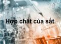 Tìm hiểu tính chất hóa học của sắt (Fe) 10 Tìm hiểu tính chất hóa học của sắt (Fe)