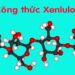Khám Phá tính chất hóa học của Xenlulozo: Từ cấu trúc đến ứng dụng