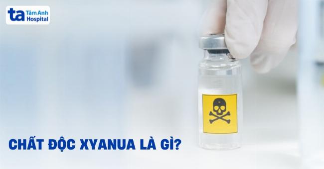 Các đặc điểm nhận biết kim loại chuyển tiếp trong hóa học phổ thông