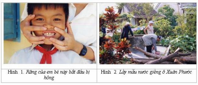 Nguồn gốc Mg từ khoáng vật và nước biển, giải thích sự phổ biến trong vỏ trái đất