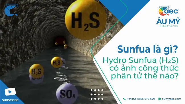 Phản ứng hóa học của so với kim loại tạo muối sunfua
