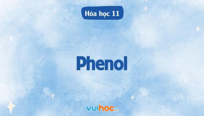Cấu trúc phân tử hợp chất phenolic và nhóm chức đặc trưng giúp nhận biết
