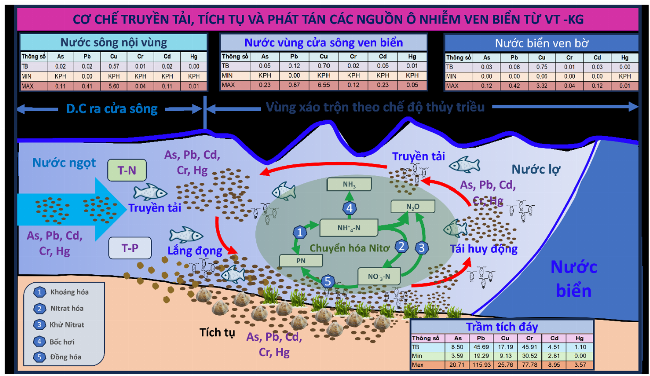 Minh hoa vi nhua kim loai nang tu rac thai va anh huong hoa hoc
