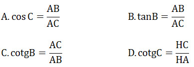 Các công thức về tỉ số lượng giác và hệ thức lượng trong tam giác vuông