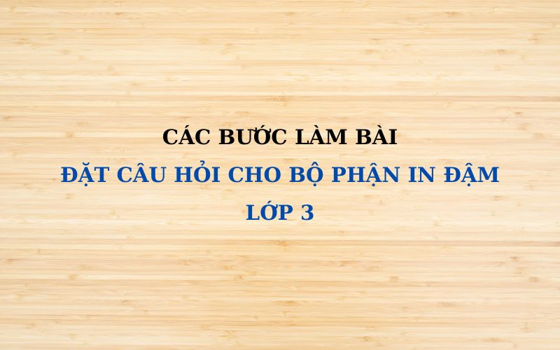 Cách làm bài tập đặt câu hỏi cho bộ phận in đậm lớp 3. (Ảnh: Monkey)