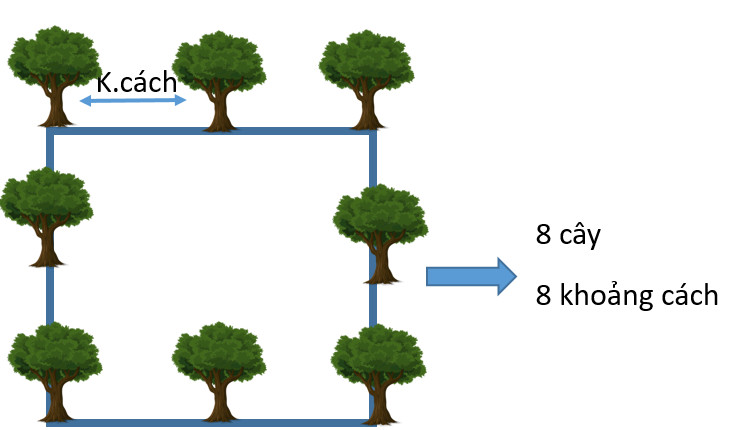 Bài Toán Trồng Cây Lớp 4: Hướng Dẫn Chi Tiết Từ A-Z 1 Bài Toán Trồng Cây Lớp 4: Hướng Dẫn Chi Tiết Từ A-Z