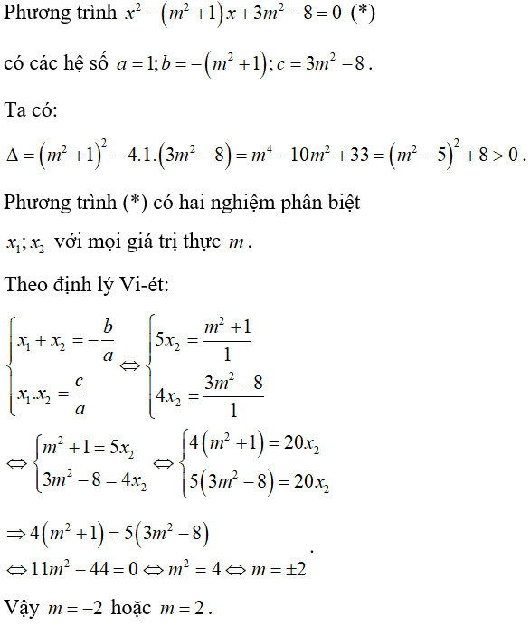 Minh họa bài tập 5