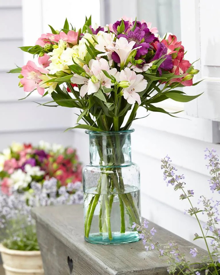 Sự hòa trộn giữa các màu sắc mang đến một không gian sống động và tinh tế