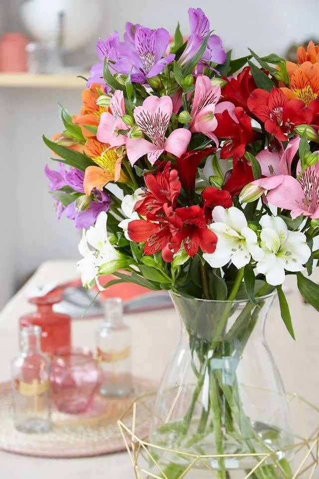 Hình ảnh hoa thủy tiên với những sắc màu rực rỡ điểm tô cho không gian thêm phần tươi mới