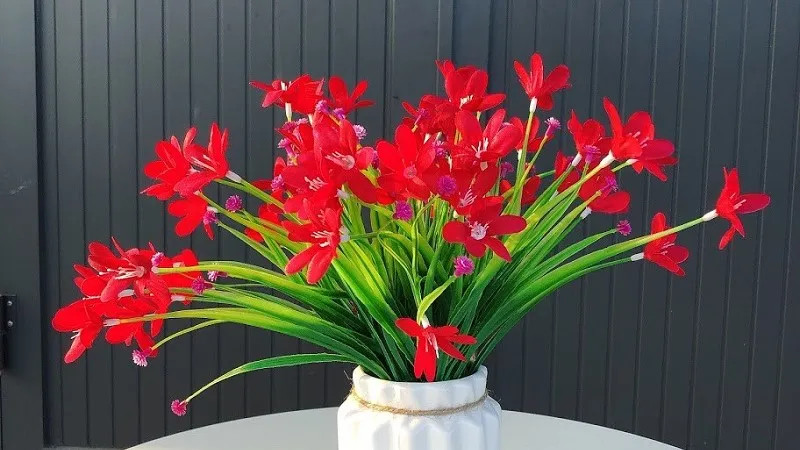 Ý nghĩa của hoa thủy tiên đỏ