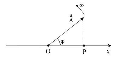 Biểu diễn dao động điều hòa bằng véc tơ quay