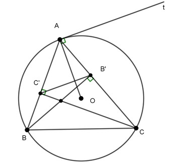 Tứ giác nội tiếp BCB'C'