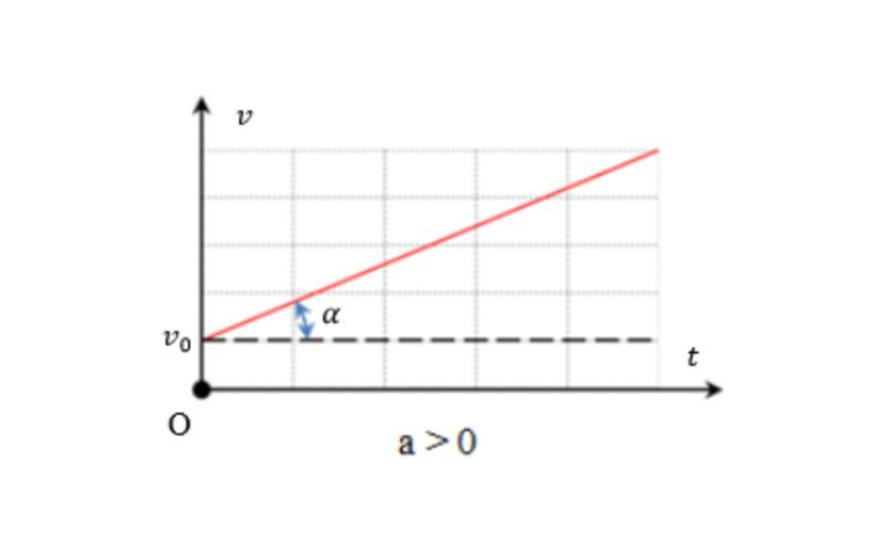 Đồ thị vận tốc - thời gian của chuyển động thẳng nhanh dần đều