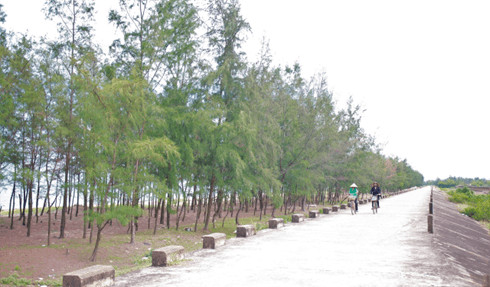 Nhiều viên sỏi nhỏ được thả vào một cốc nước làm mực nước dâng lên