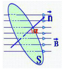 Minh họa từ thông dương