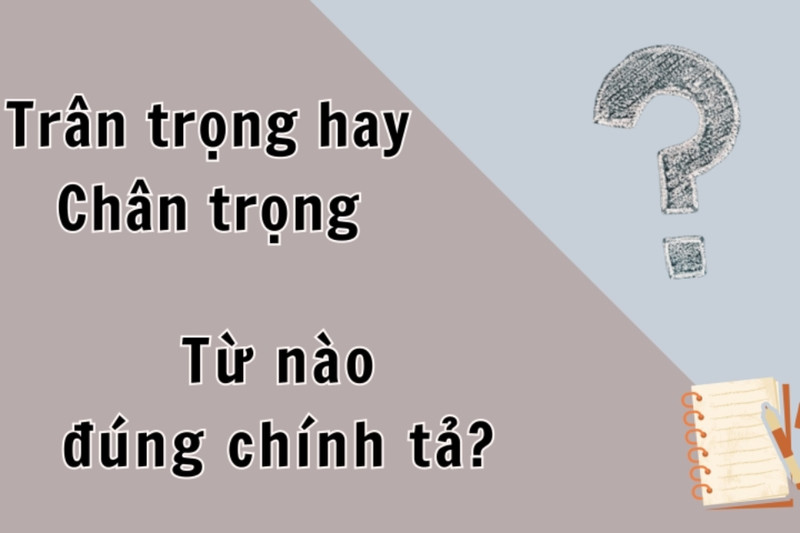 Phân tích sự khác biệt giữa trân trọng và chân trọng