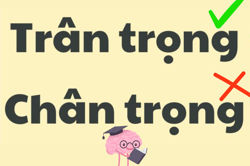 Tầm quan trọng của việc sử dụng ngôn ngữ chuẩn xác