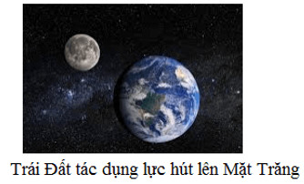 Minh họa lực hút của Trái Đất