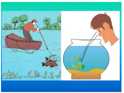 Vị trí thật của vật dưới nước khác với vị trí nhìn thấy