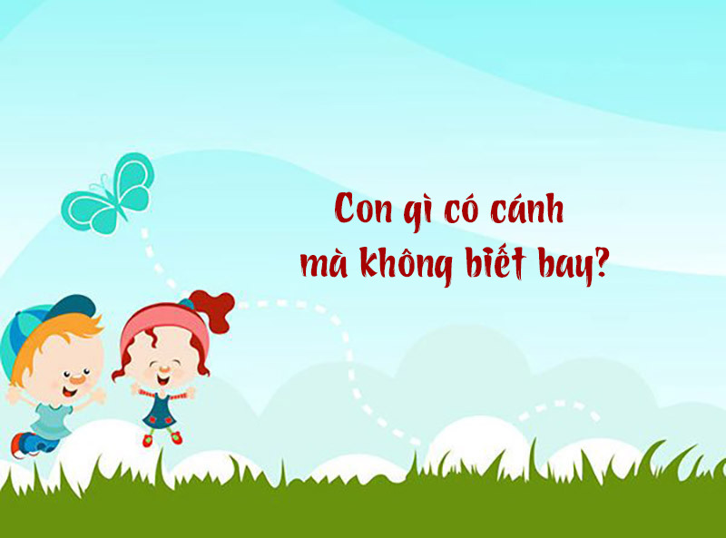 Con Gì Có Cánh Mà Không Biết Bay? - Câu Đố Hại Não Thử Thách Tư Duy 1 Con Gì Có Cánh Mà Không Biết Bay? – Câu Đố Hại Não Thử Thách Tư Duy