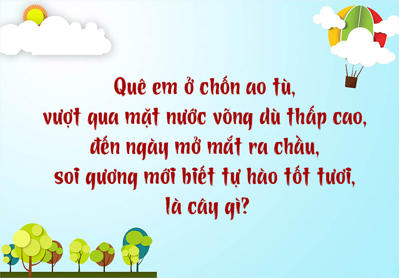 Gợi ý câu đố 3