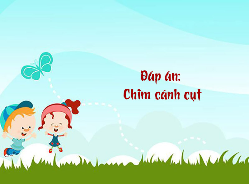 Đáp án câu đố 1