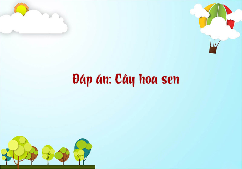 Đáp án câu đố 3