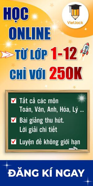 Minh họa hệ tiết niệu người
