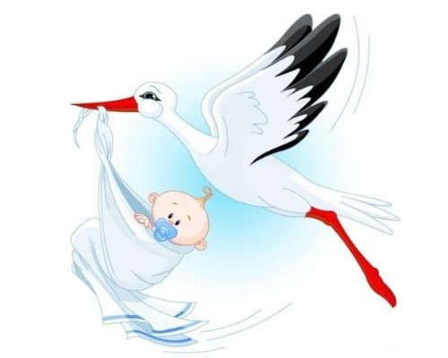 Nhạc ru cho bé ngủ Cái cò, cái diệc cái nông